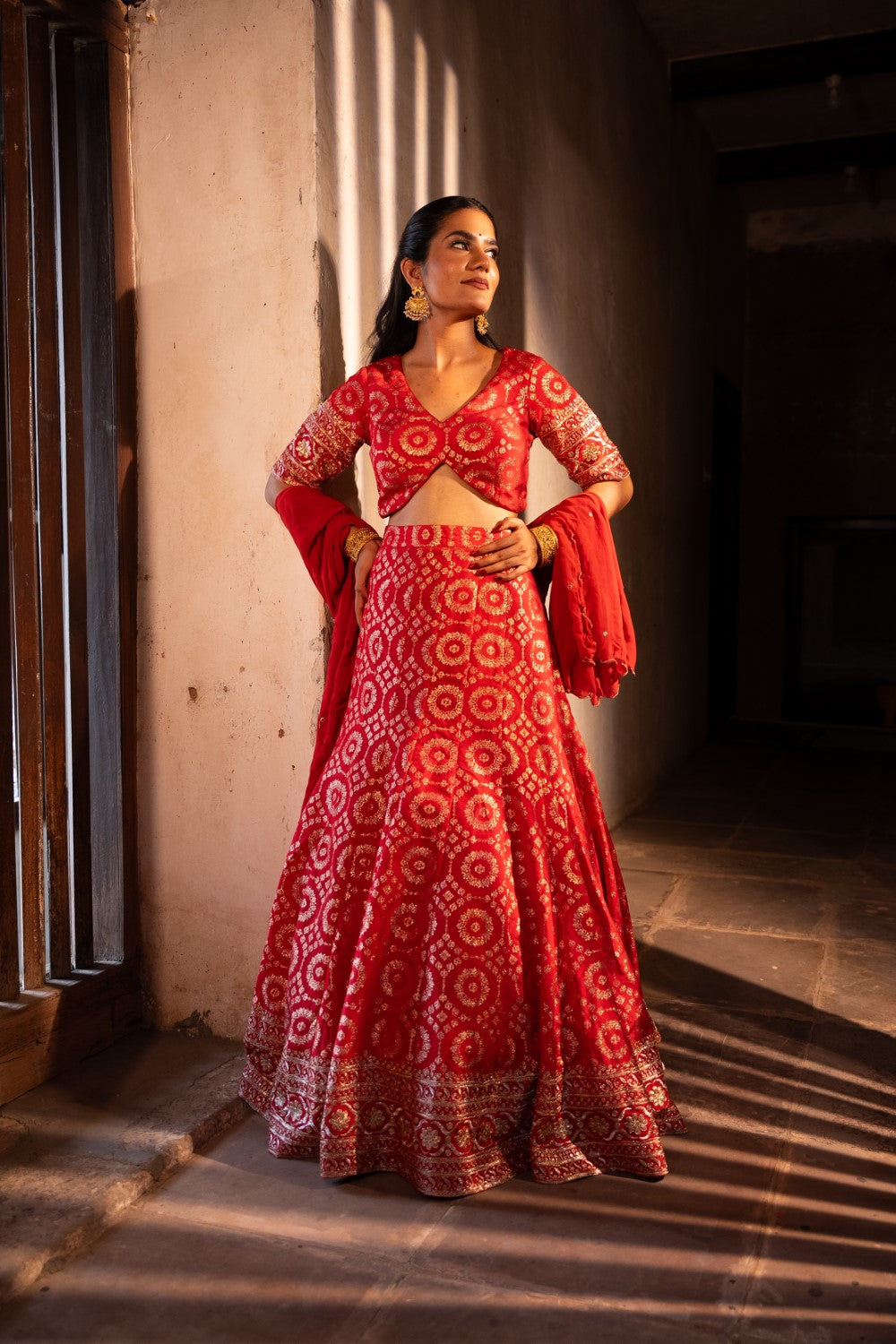 Image of Vira Lehenga Set
